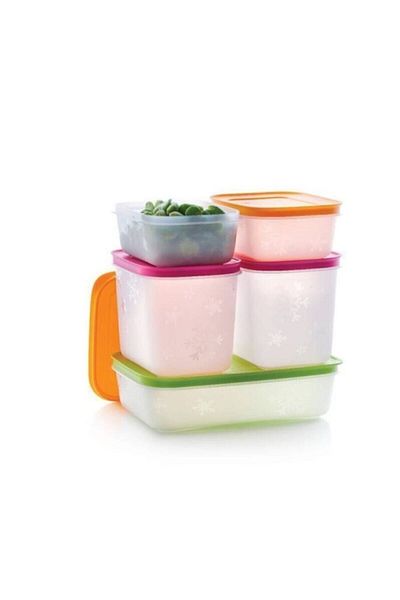 Tupperware Freezer and Deep Freezer Storage Container 5 Pieces Hsgl