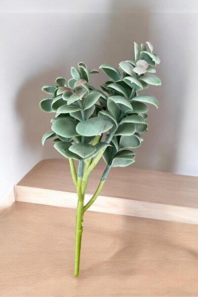 YAPAY ÇİÇEKÇİNİZ Gerçek Dokulu Yapay Kaktüs Sukulent