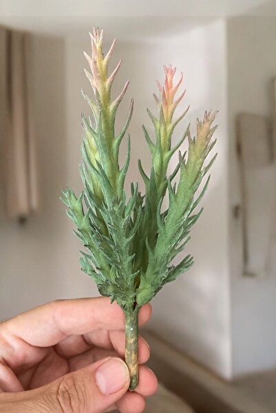 YAPAY ÇİÇEKÇİNİZ صبار صناعي حقيقي