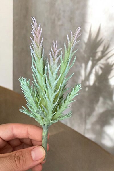 YAPAY ÇİÇEKÇİNİZ صبار صناعي حقيقي