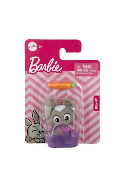 Barbie Evcil Hayvan Figürü Bunny GWW21