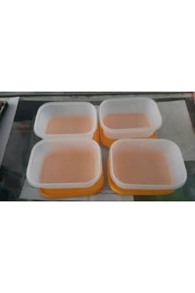 Tupperware 4-Piece Storage Container 450 ml