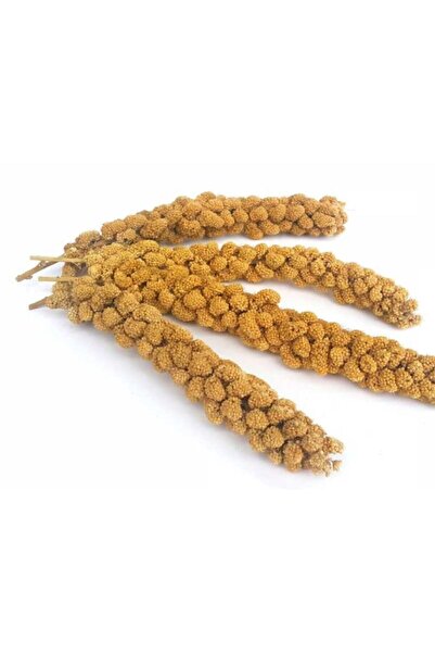 Fit Fly Doğal Dal Darı Sarı 150 gr