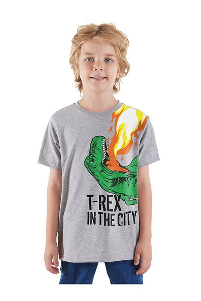 Denokids Boy's T-rex Patterned Short Sleeve T-shirt
