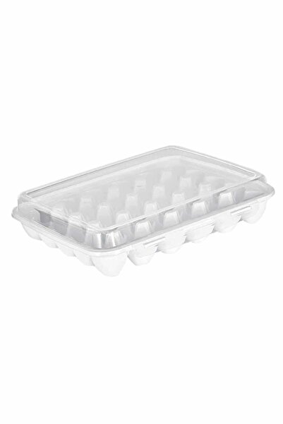 Miami Home Egg Storage Box Organizer with 30 Compartments Plastic Lid Egg Storage Container