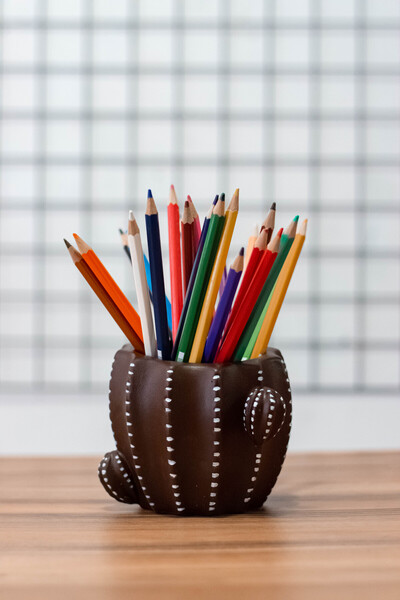 PAYATASARIM KAKTÜS KALEMLİK KAHVE