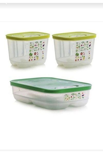 Tupperware Greenhouse Set Greenery Storage Container