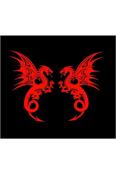 SEÇ Autocolant Dragon