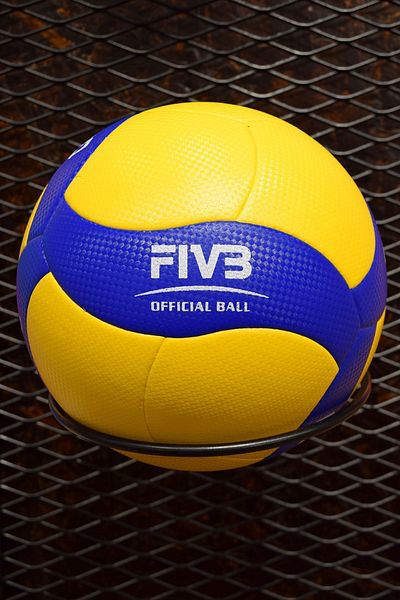 VERTEX Volleyball Ball Size 5 Semi-Prof Anti-Slip Surface VB-1200