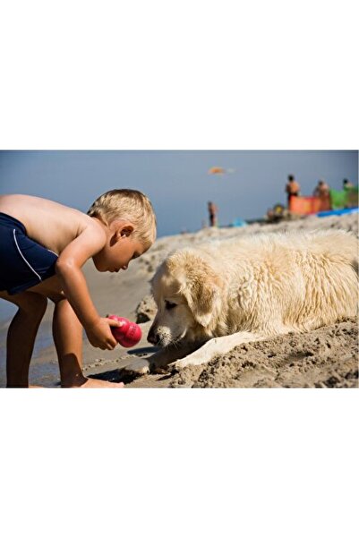Kong 10 Cm Rubber Dog Toy - Classic Large