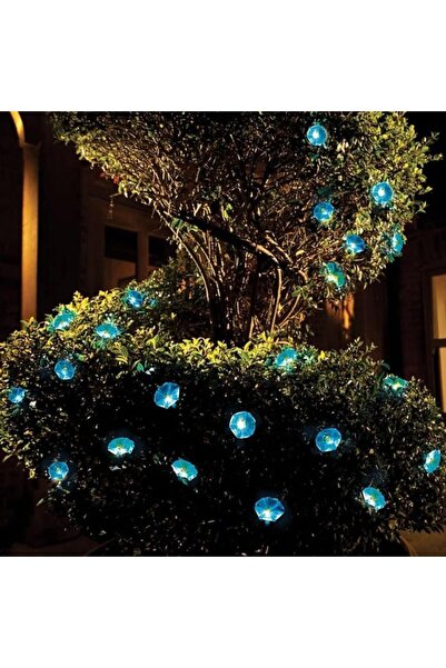 maetheus Solar Gündüz Sefası Çiçeği 10 Led 2Mt 8 Mod Güneş Enerjili Dış Bahçe...