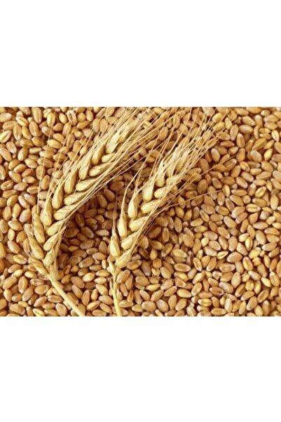 hüseyinbey Kozakli Tarım Organik 10 Kg Tavuk,kaz,hindi, Güvercin Ve Hertürlü ...