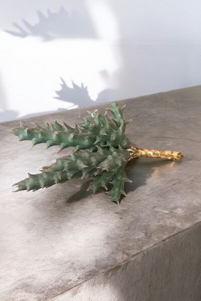 YAPAY ÇİÇEKÇİNİZ Gerçek Dokulu Yapay Kaktüs Sukulent