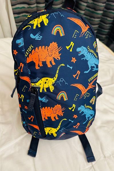 chantacim Dinosaur Printed Boy's Backpack