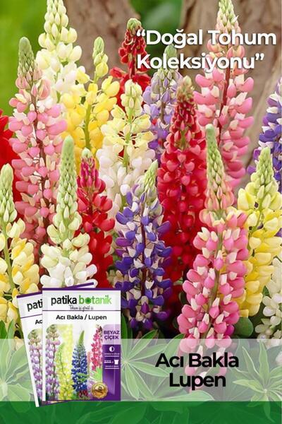 Patika Botanik 50 Adet Lupen/acı Bakla Tohumu