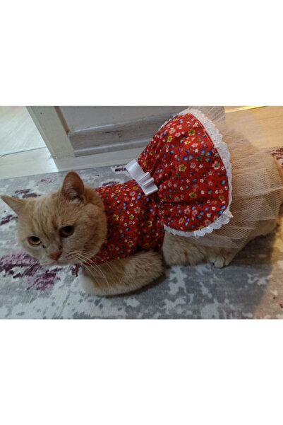 Gobo فستان قطة وكلب مزين بالزهور الملونة - مقاس كبير 3