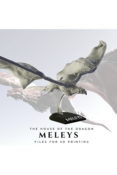 hayatvesanat Meleys (House of the Dragon)