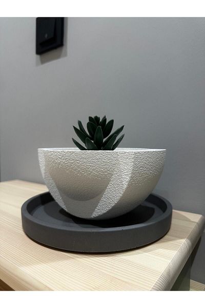 Obaco Flat White Succulent Nordic - Μοντέρνο Απλό