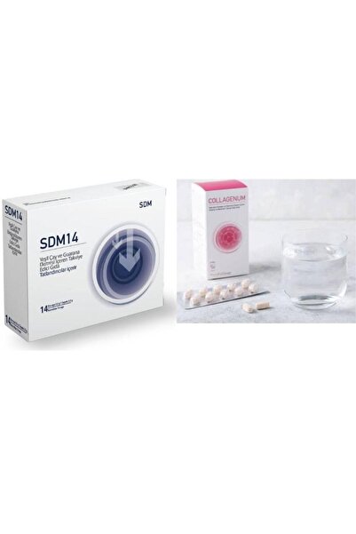 SDM GIDA Sdm 14 & Kolajen