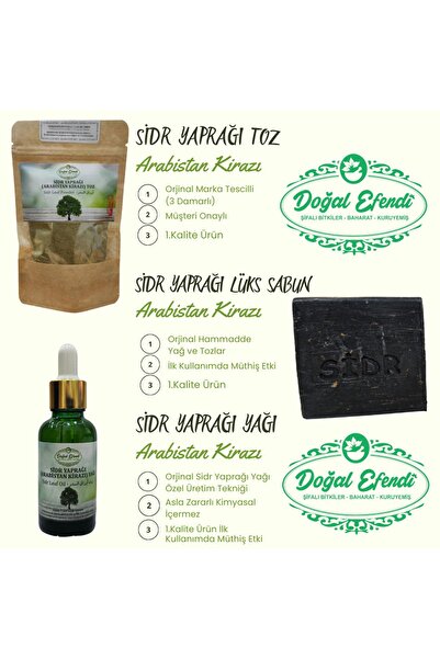 doğal efendi şifalı bitkiler baharat kuruyemiş Sidr Yaprağı (ARABİSTAN KİRAZ) 50 Gr. Toz - Sabun - 30 ml. Yağ Sidre Magrib Mağrib