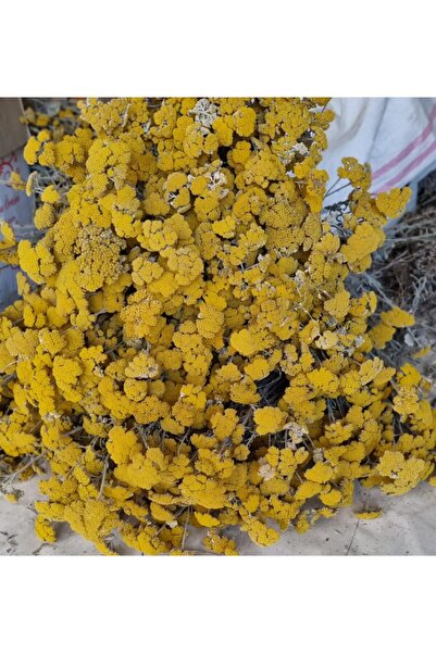 DOĞA NİMETİ CİVAN PERÇEMİ 1 KG ORGANİK( Yeni Mahsül, Doğal Kurutulmuş, Elenmiş )