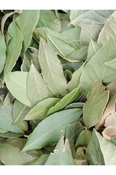 DOĞA NİMETİ Defne Yaprağı 500 gr  ORGANİK ( Yeni Mahsül, Doğal Kurutulmuş, El...