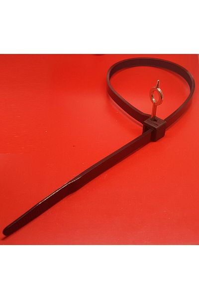 ATS Global Plastic clamp with key 9X500-3 Pieces