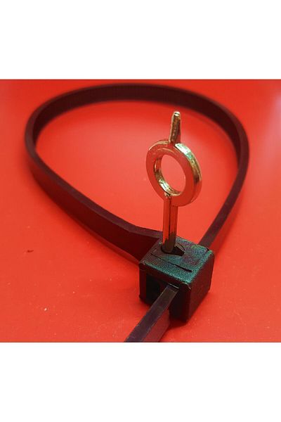ATS Global Plastic clamp with key 9X500-3 Pieces