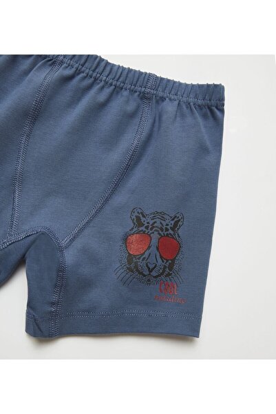 natuline Boy's Cool Tiger Lycra 2-pack Boxer