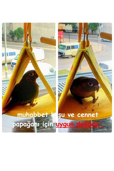 Kuşarkadaşım خيمة أرجوحة على شكل عش ببغاء من Coon & Boat باللون الأصفر Knrhmk01