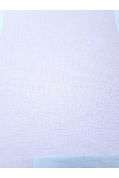 Bayındır Millimetric Technical Drawing (Orange) 36 Sheets 70 Grams (A3)