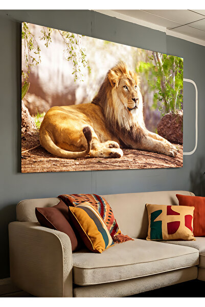 AR AJANS KANVAS TABLO Διακοσμητικός πίνακας σε καμβά στον ηλιοφάνεια του λιον...