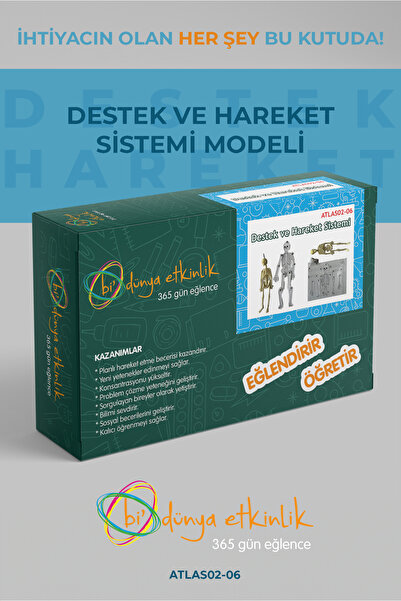 bi dünya etkinlik Destek ve Hareket Sistemi Modeli Deney Seti | 02-06