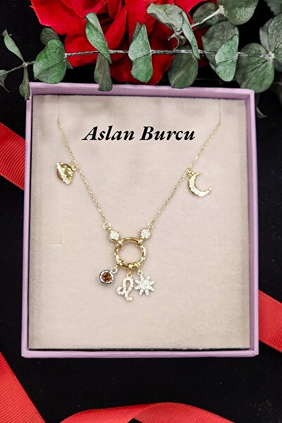 Hepimitu Aslan Burcu Gümüş Kolye
