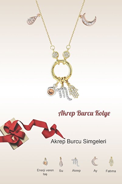 Hepimitu Akrep Burcu Gümüş Kolye