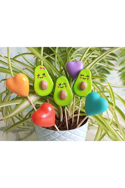Home Avokado Saksı Süsü