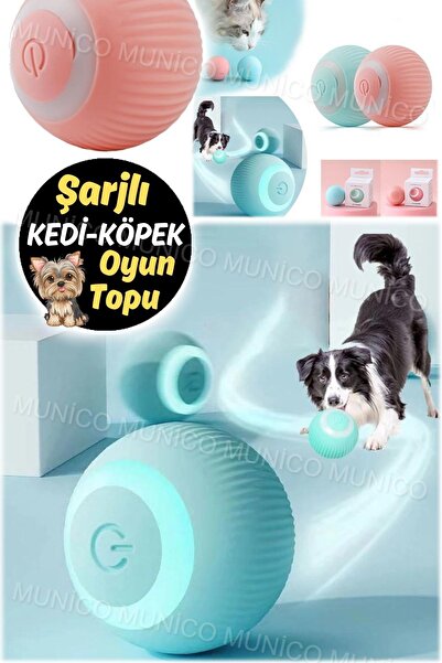 Munico Otomatik Hareket Eden Yavru Kedi Oyuncakları Eğitim İçin Sessiz Çalışm...