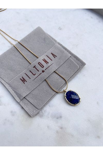 Miltonia Lapis Lazuli Necklace Pendant Steel Chain Necklace