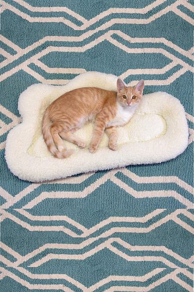 Nurnivus White Plush Cloud - Soft Cat Bed, Pet Pufidik Welsoft Cushion
