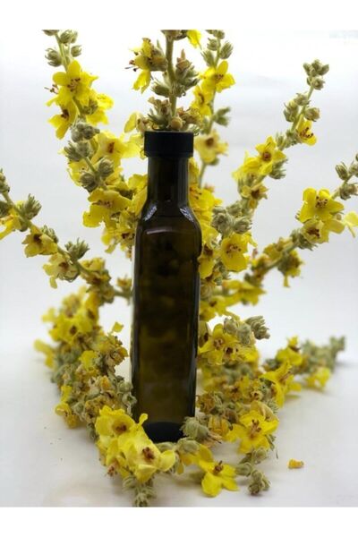 Sığırkuyruğu Özü 250 ml