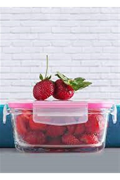 Lavin Lav Fresco Saklama Kabı 1150 Cc Frs249 Pembe