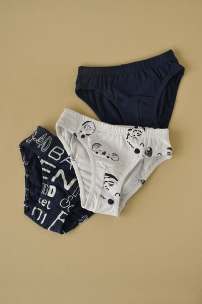 Wogi Erkek Çocuk Külot Set 3 !ü