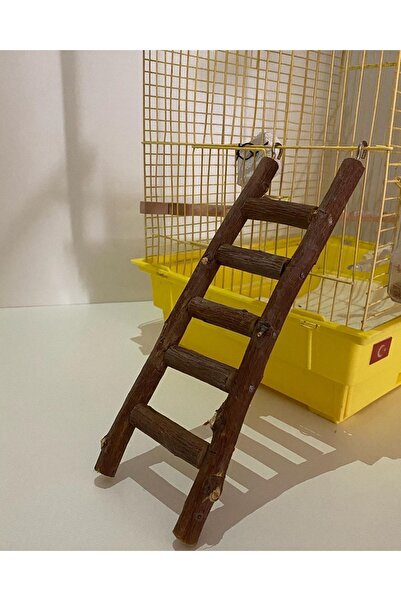 Paks Pet Doğal Ahşap Kuş Merdiveni