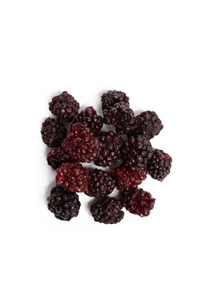 HapHug Dondurularak Kurutulmuş Meyve Freeze Dried Bütün Böğürtlen - 1 Kilogra...
