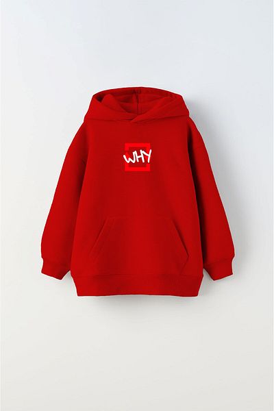 The Champ Clothing Унисекс детски суитшърт с качулка отвътре, полар и щампа Why