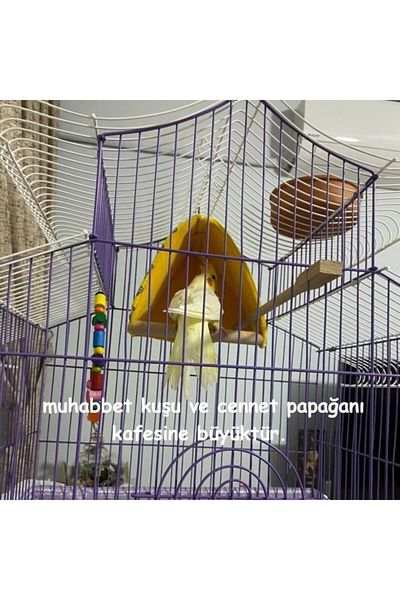 Kuşarkadaşım Cockatiel Sleeping Swing Purple Wind-Breaking Tent Swing