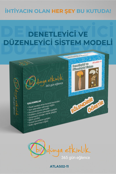 bi dünya etkinlik Denetleyici ve Düzenleyici Sistem Modeli Deney Seti | 02-11