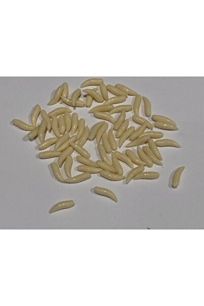 Oltacidayim Sazan Avı Için Yapay Sahte Gerçek Kurtçuk Görünümlü Silikon