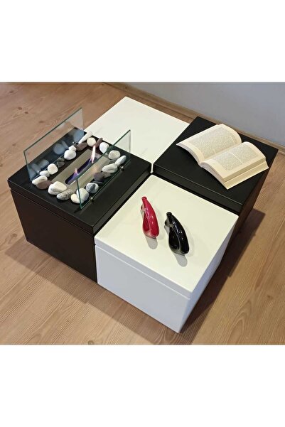 BLUEFLAME CHECKERS BACASIZ ( BİO ETANOL ) ŞÖMİNE ( 1 LİTRE ŞÖMİNE YAKITI )