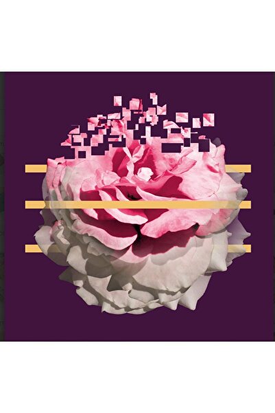 Trendyol Sanat | "umut" Illüstrasyon Seçkisi